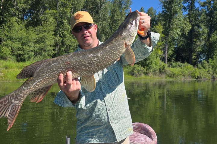 Man holding a large fish on a boat in a lake surrounded by trees.
