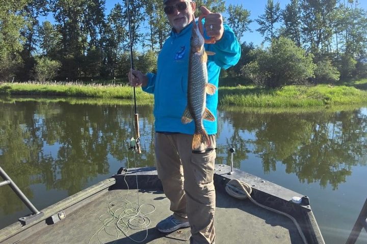 Person holding a fish on a boat by a tree-lined river.