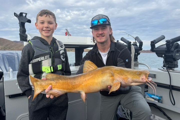 Smiling boy and man on boat holding large catfish together.