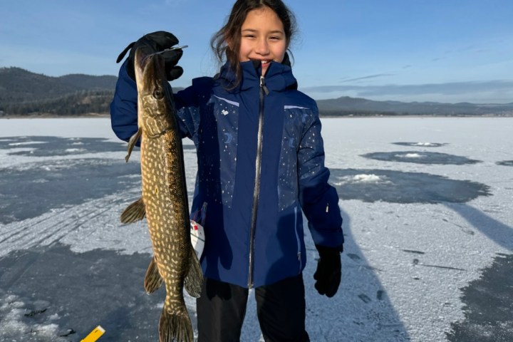 Person in blue jacket holding a large fish on a frozen lake.