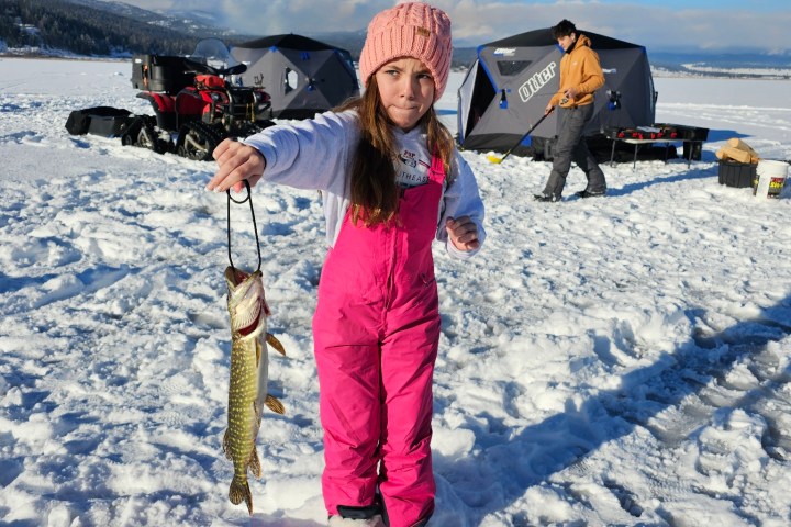 Child in pink outfit holds a fish, standing on snowy ground near ice fishing huts.