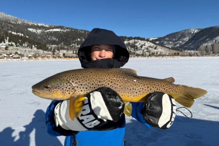 Person in blue jacket holding a large fish on a snowy landscape with mountains.