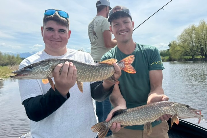 Two men smiling and holding fish on a boat by the water.