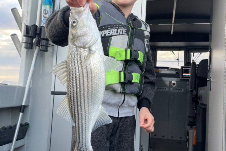 Boy on a boat holding a large fish with a smile.