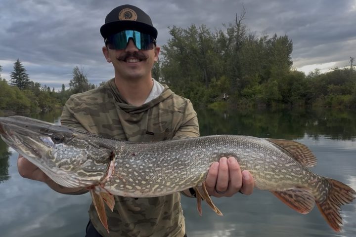 Person holding a large fish with gray sky in the background.
