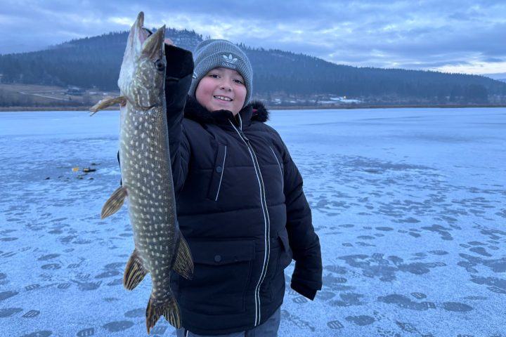 a person holding a fish in the water