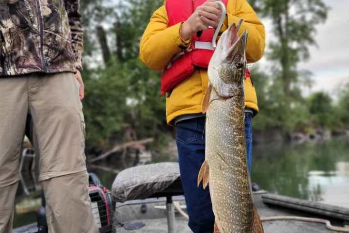 a person holding a fish