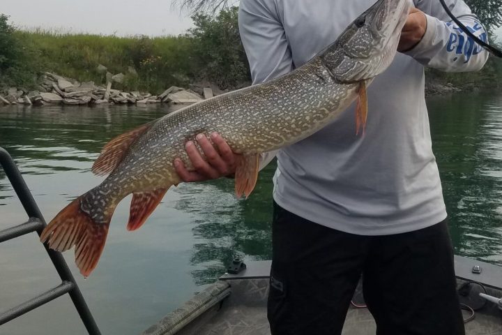 a man holding a fish in the water