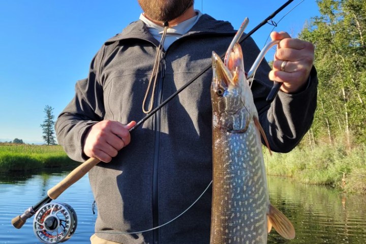 a man holding a fish in the water