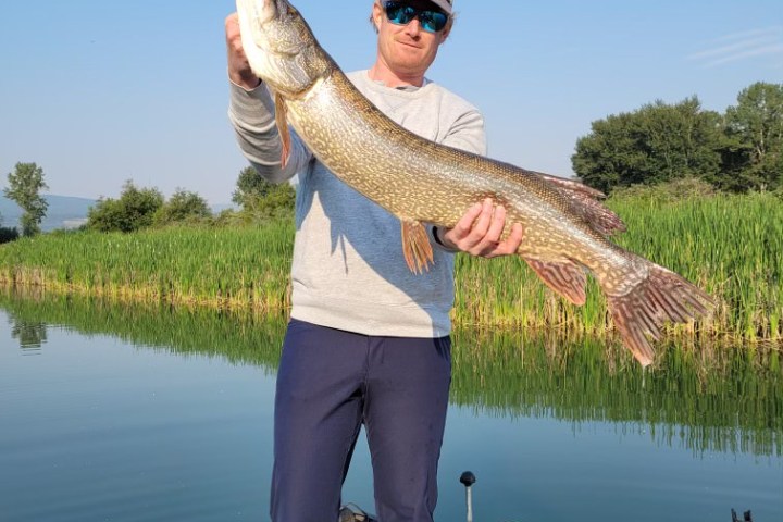 a person holding a fish in the water