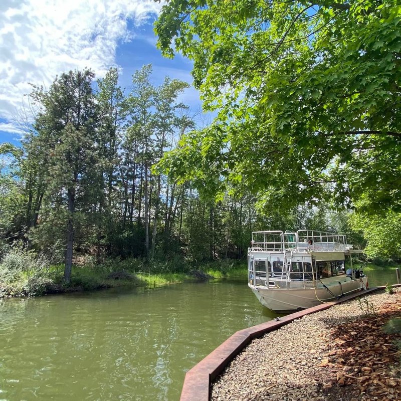 a boat on a river surrounded by trees