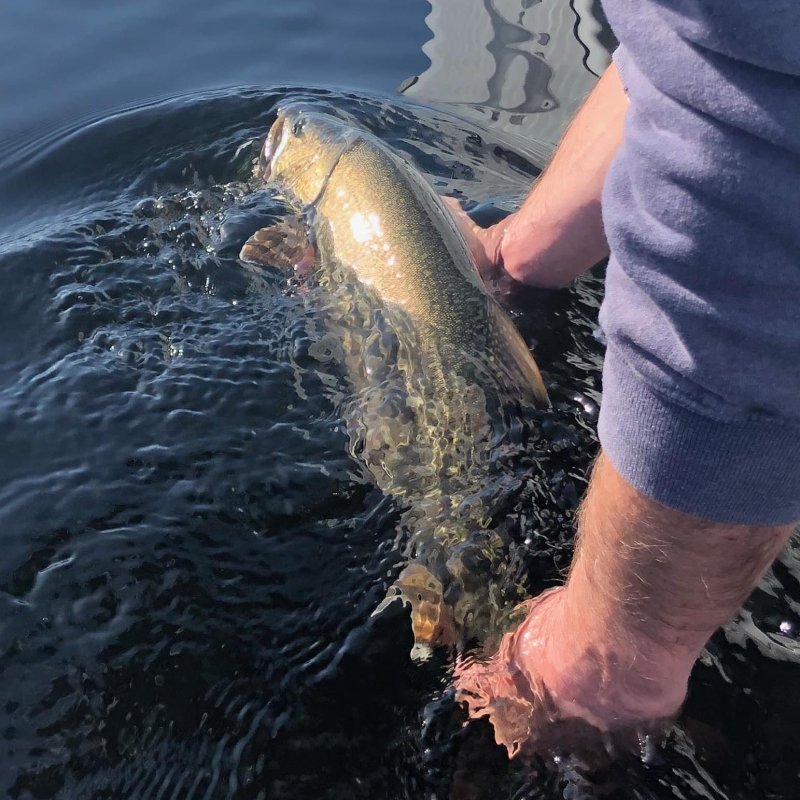 a man holding a fish in the water