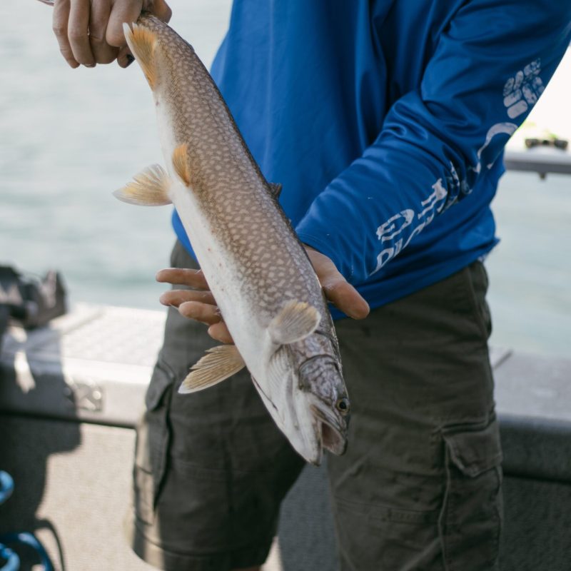 a person holding a fish