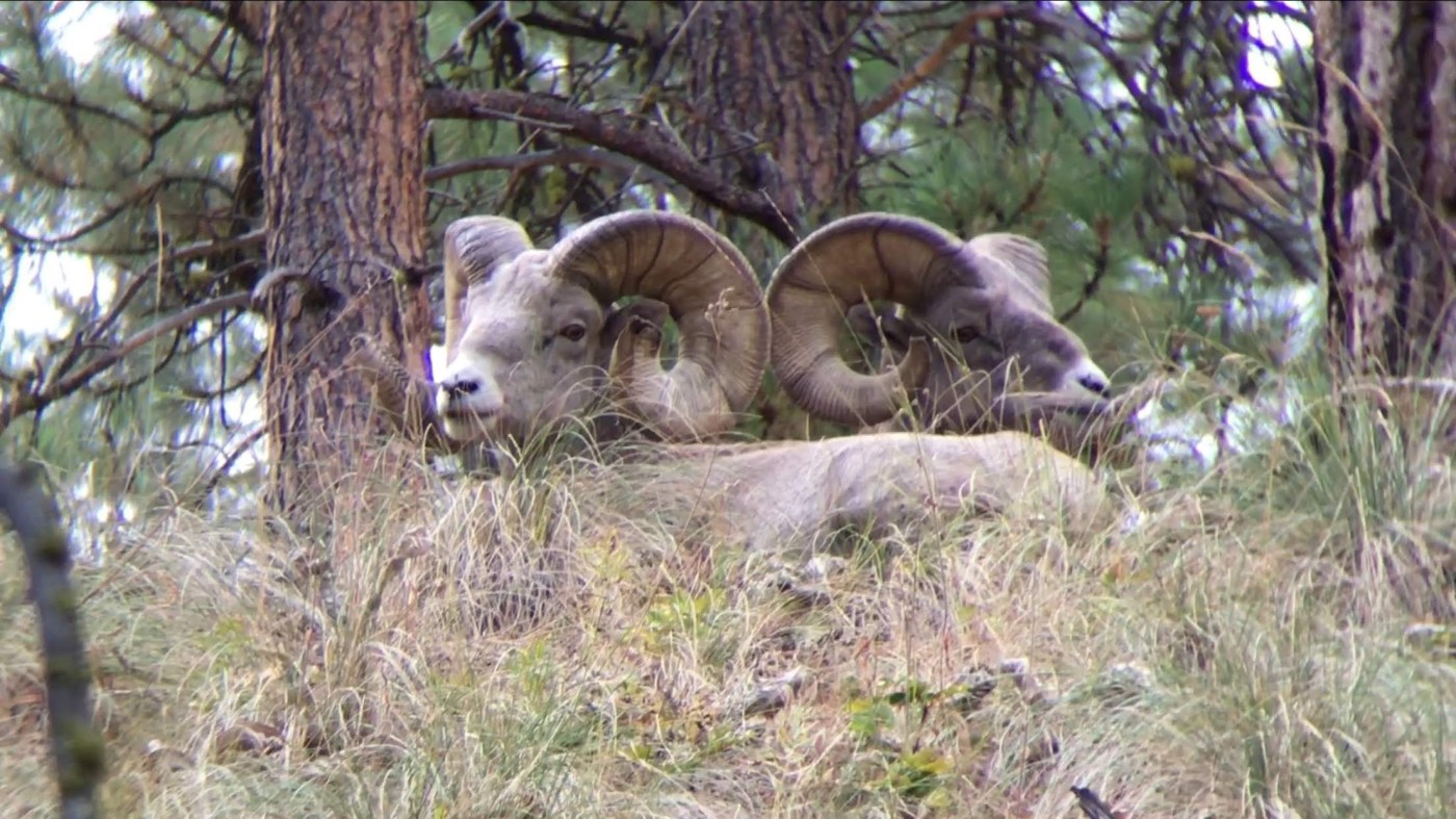 Private 4 Hour Flathead Lake Boat Tour | Big Sky Fishing Charters