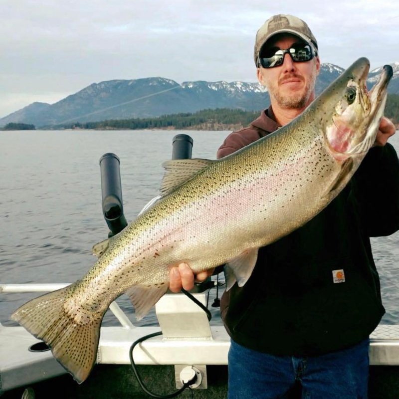 a person holding a fish in the water