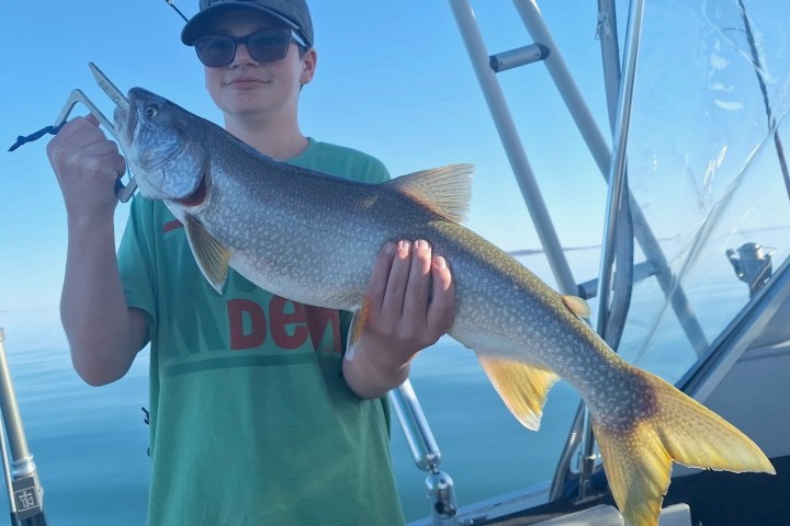 Person holding a large fish on a boat under clear blue sky.