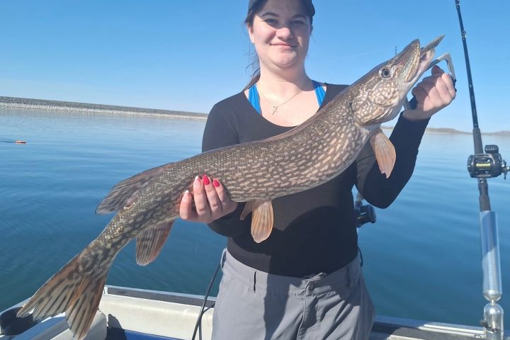 Person holding a large fish on a boat, with water and blue sky in the background.