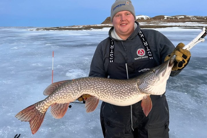 Person holding a large fish on a frozen lake.