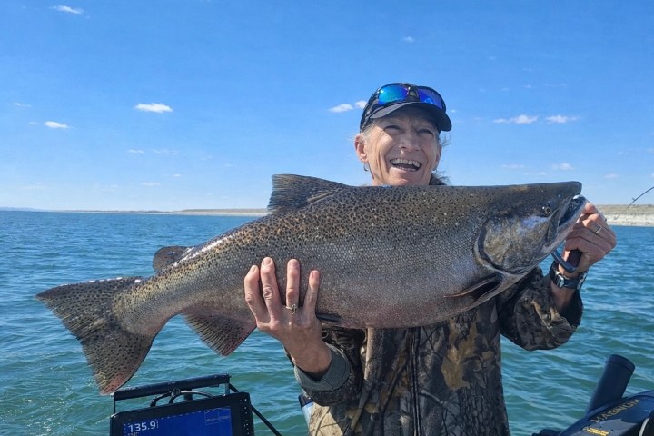 Person holding a large fish on a boat with a lake in the background.