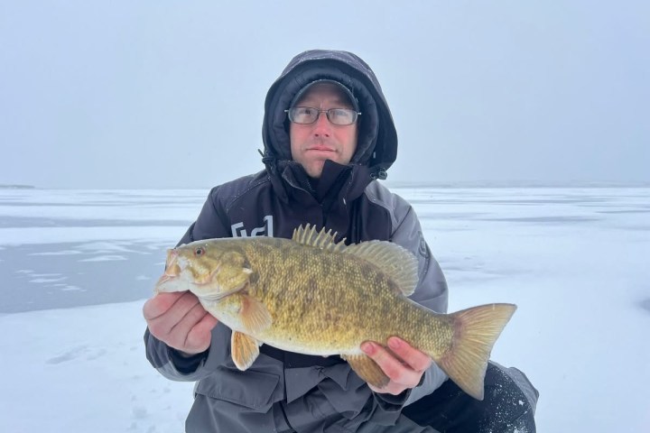 Person in winter clothing holding a fish on a snowy landscape.