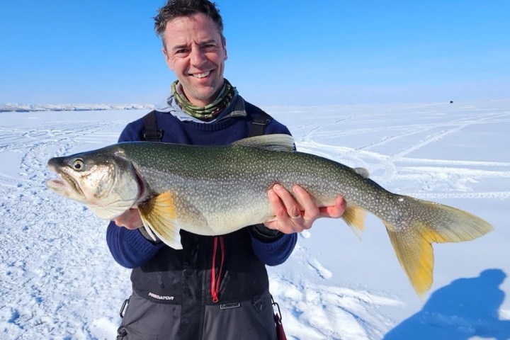 Person holding a large fish on a snowy landscape under a clear blue sky.
