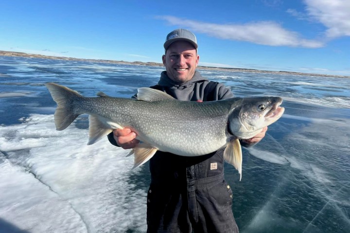 Person holding a large fish on ice with a clear sky.