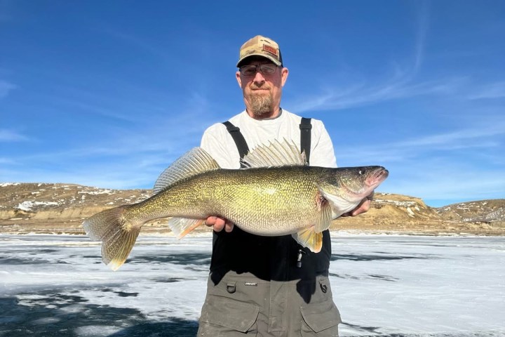 Person holding a large fish on a frozen lake with a clear sky.