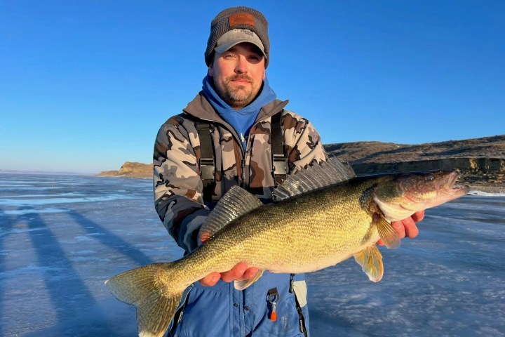 Person holding a large fish on an icy surface under a clear blue sky.