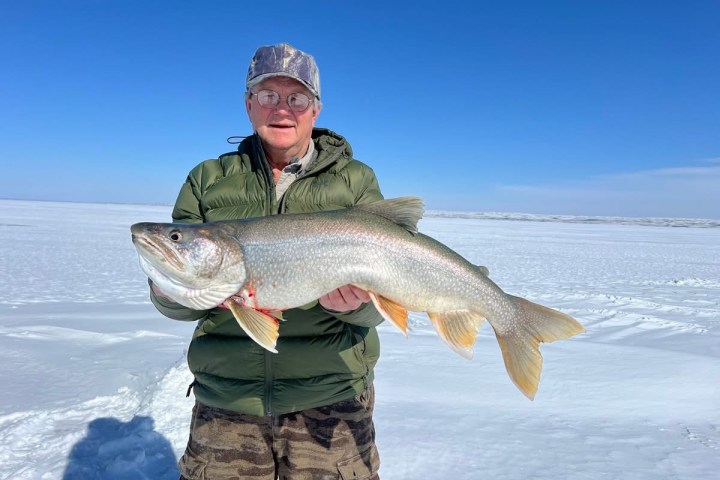 Person holding a large fish standing on snowy ice under a clear blue sky.