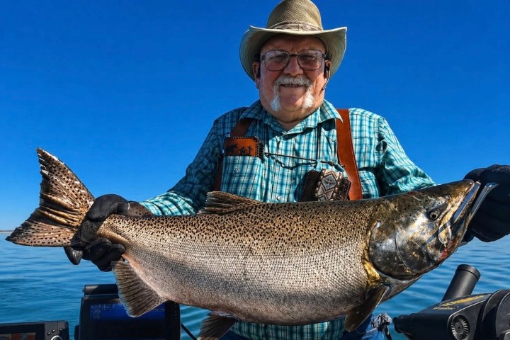 Man in plaid shirt and hat holding a large fish on a boat, with clear blue sky background.