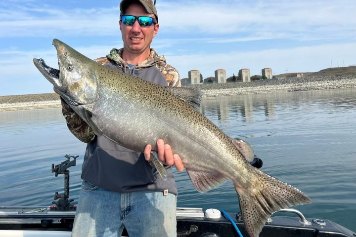 Person holding a large fish on a boat with water and buildings in the background.