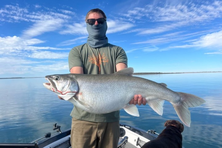 Person holding a large fish on a boat with a vast lake and blue sky in the background.