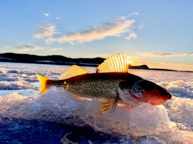 Private Fort Peck ICE Charters | Big Sky Fishing Charters