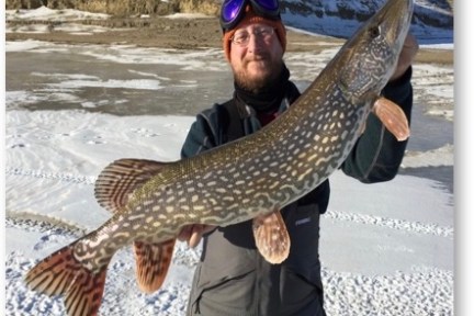 a person holding a fish