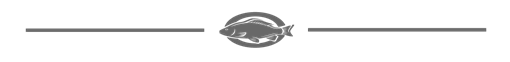 image020 a close up of a logo