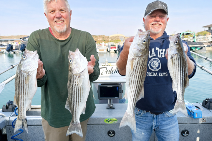 Two men smiling, each holding two striped bass on a boat.