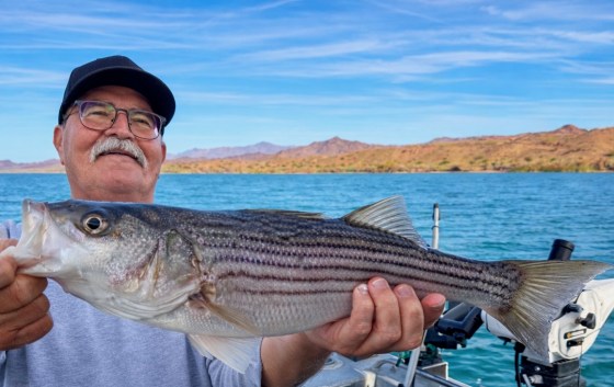 Man holding large striped bass on a boat with scenic lake background.